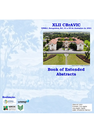 Livro de Resumo CBrAVIC 2021